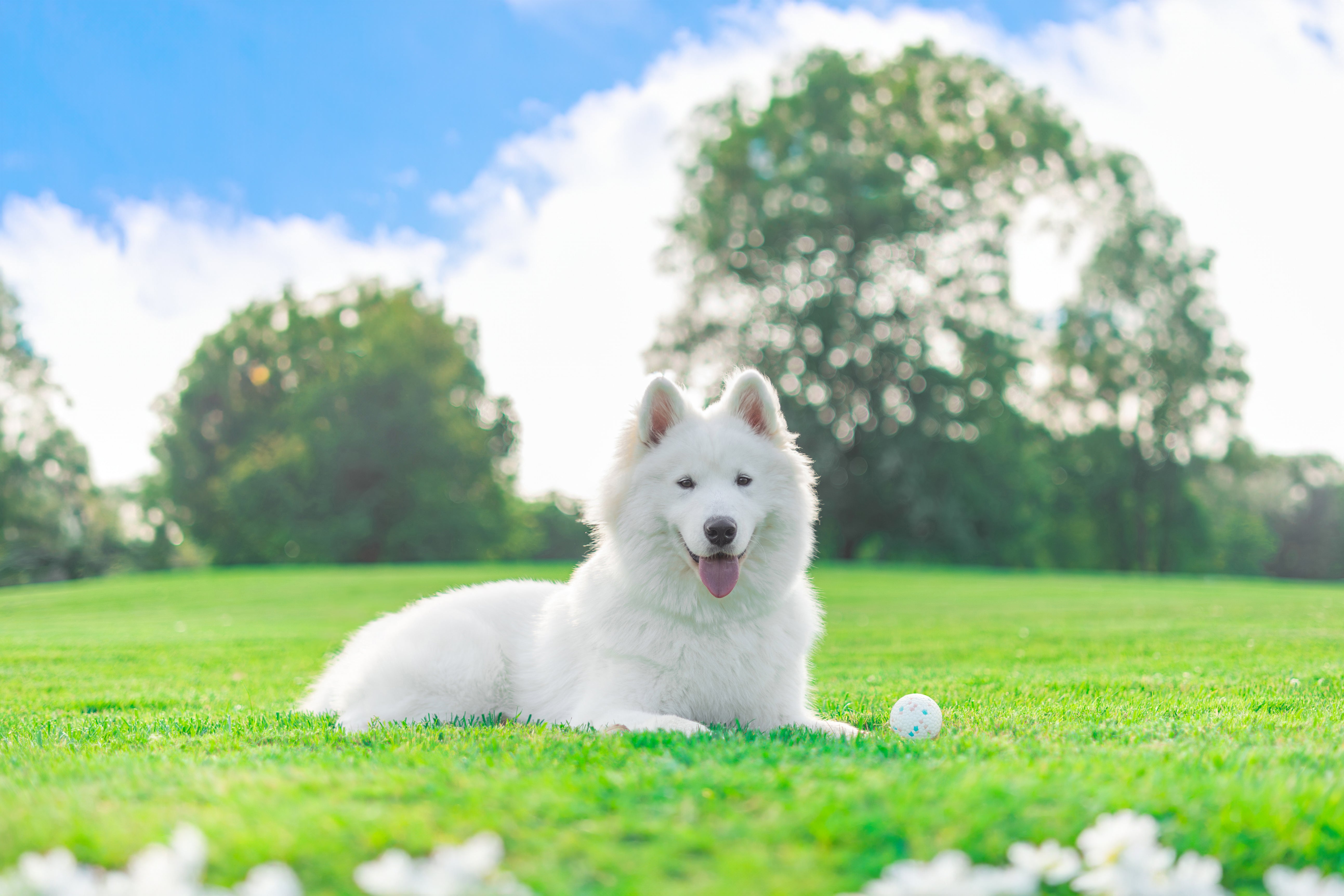 custom-slideshow-image-desktop-block_KTCNy8