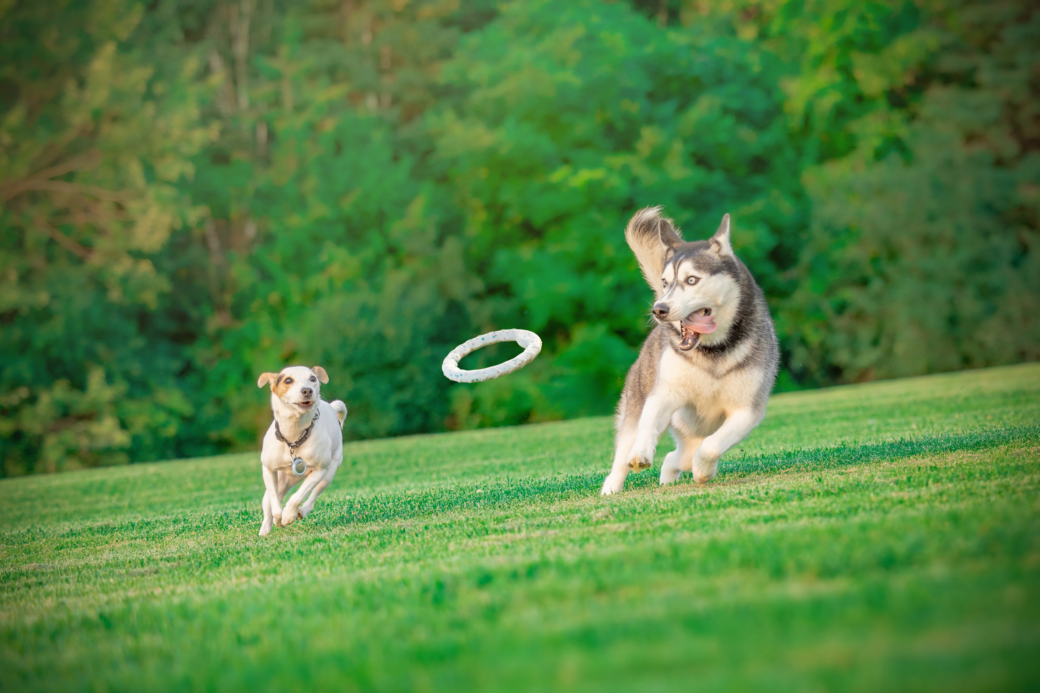 custom-slideshow-image-desktop-block_qyj9bb