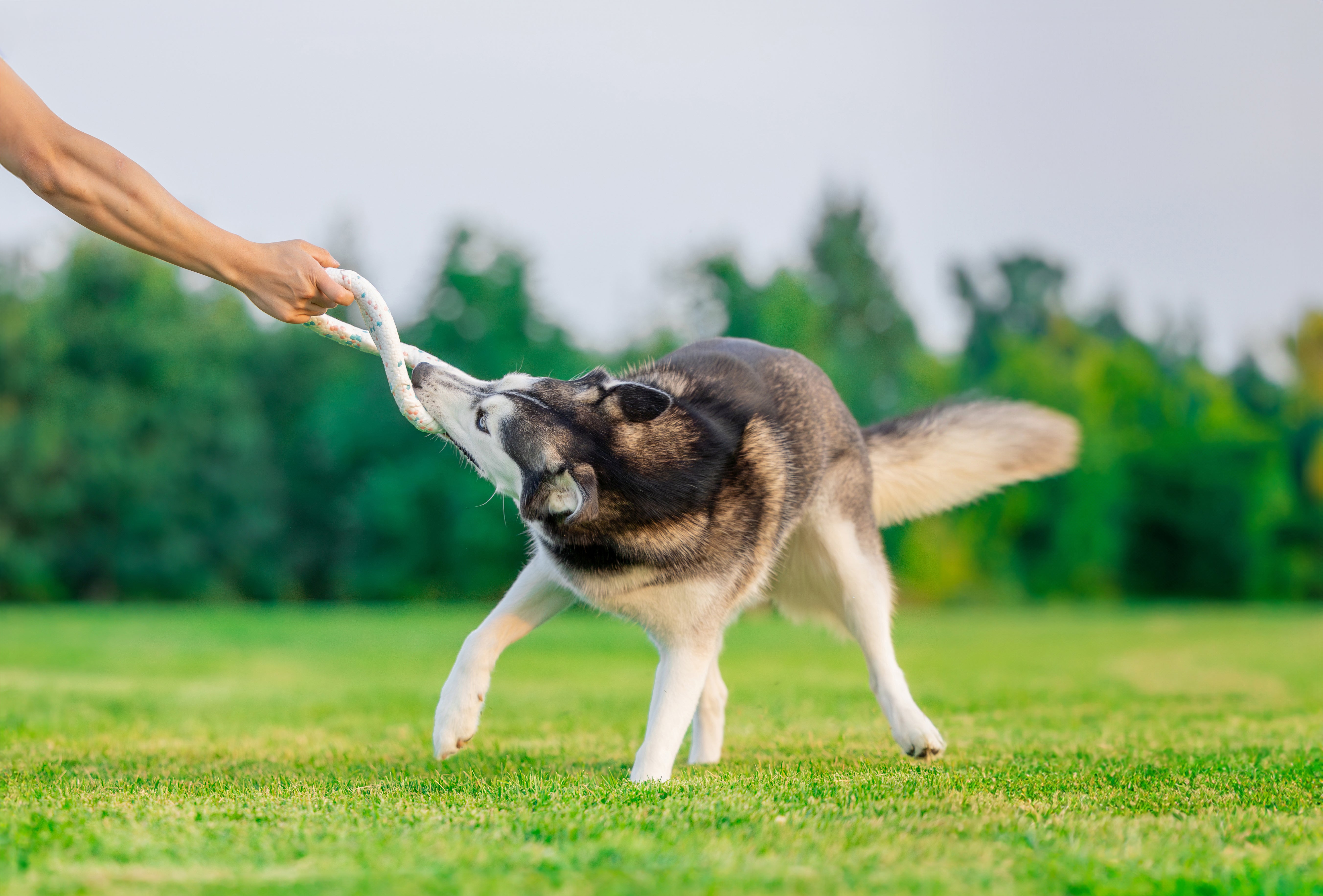 custom-slideshow-image-desktop-block_R3zqa9